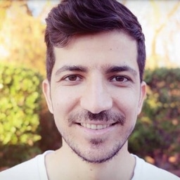 Mehrdad Rafiee-image